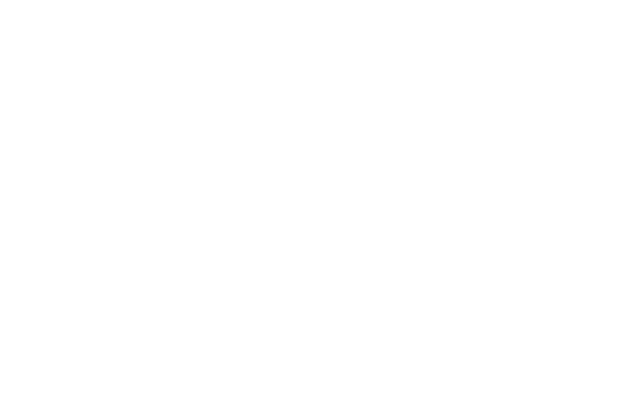 Simplified Intelligent Solutions